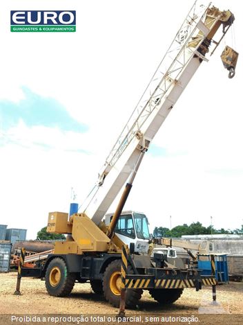 Guindaste Grove RT540E