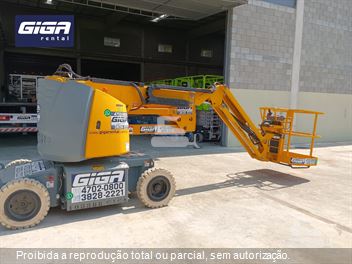 Plataforma Aérea (Elevatória) Haulotte HA 12 IP