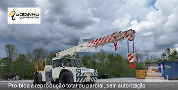 Guindaste Terex Franna FR17C