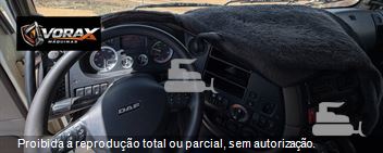 Caminhão DAF XF 105 FTT 510 6x4 (Diesel)(E5)